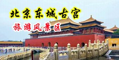 插少妇逼中国北京-东城古宫旅游风景区